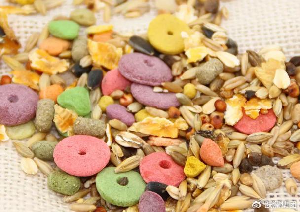 中国宠物食品:利用互联网,开启新天地